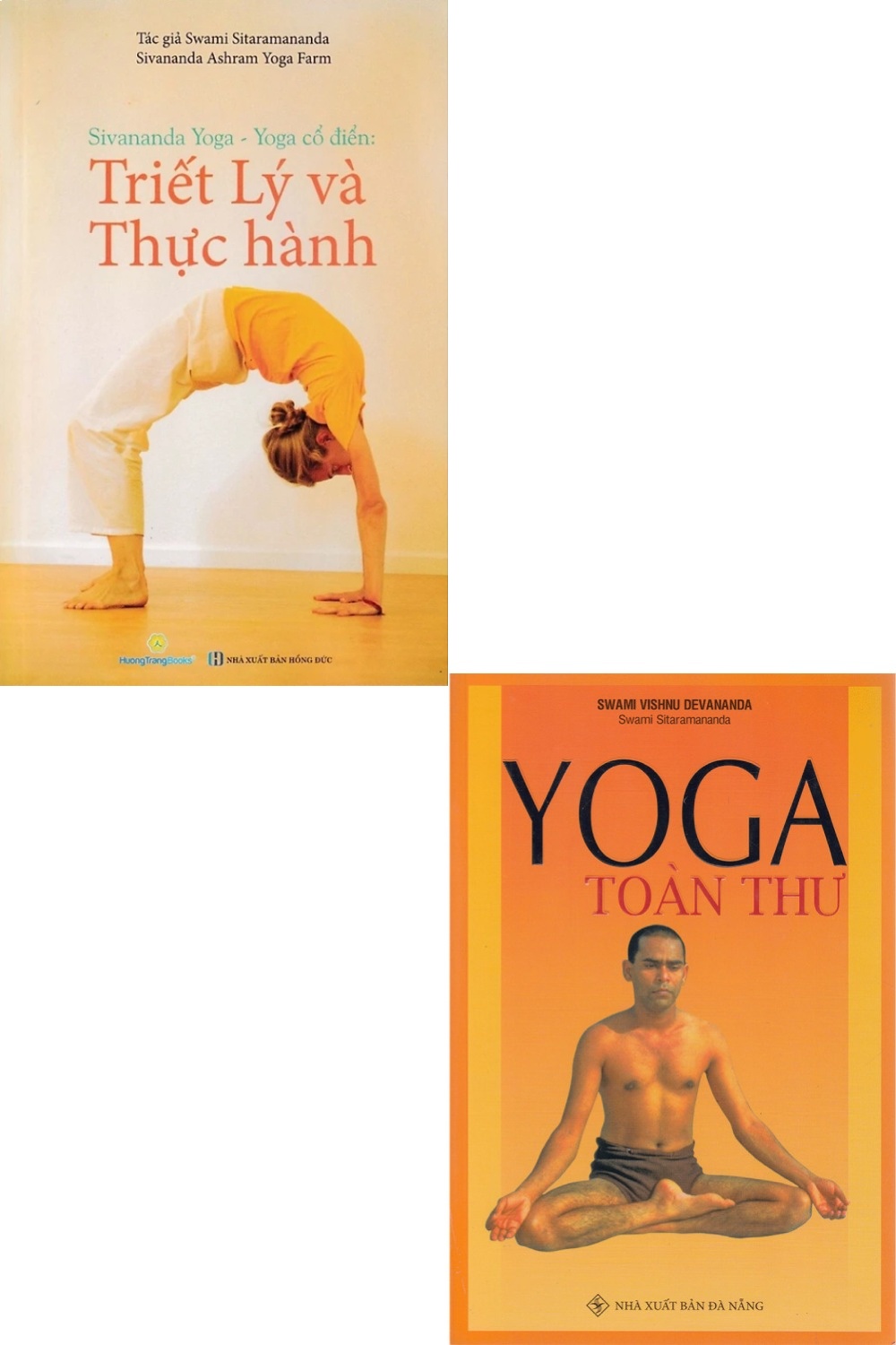 Combo Yoga Cổ Điển - Triết Lý Và Thực Hành + Yoga Toàn Thư (Bộ 2 Cuốn)