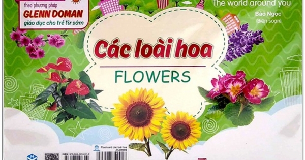 Flashcard Thế Giới Quanh Em: Các Loài Hoa - Flowers (ND)