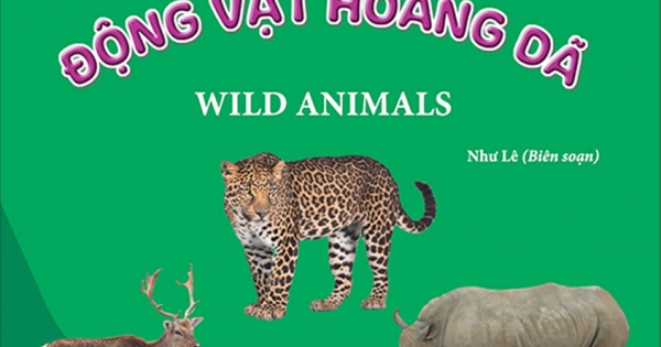 Giúp Bé Nhận Biết Thế Giới Xung Quanh - Động Vật Hoang Dã - Wild Animal (Song Ngữ Anh Việt)