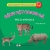 Giúp Bé Nhận Biết Thế Giới Xung Quanh - Động Vật Hoang Dã - Wild Animal (Song Ngữ Anh Việt)