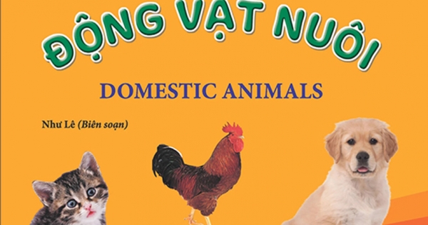 Giúp Bé Nhận Biết Thế Giới Xung Quanh - Động Vật Nuôi - Domestic Animal (Song Ngữ Anh Việt)