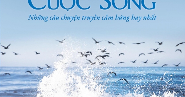 Hạt Giống Tâm Hồn - Bản Giao Hưởng Cuộc Sống - Ấn Bản Đặc Biệt