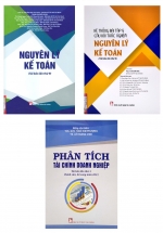 Combo Nguyên Lý Kế Toán + Hệ Thống Bài Tập & Câu Hỏi Trắc Nghiệm Nguyên Lý Kế Toán + Phân Tích Tài Chính Doanh Nghiệp (Bộ 3 Cuốn)