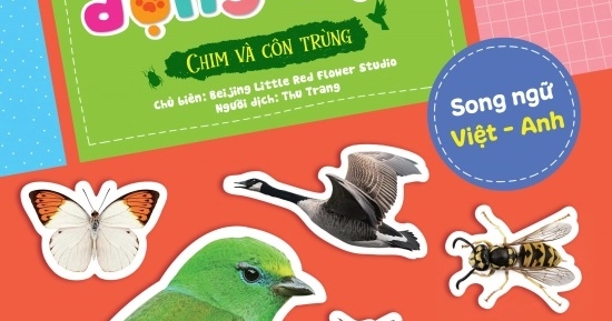 Dán Hình Nhận Biết Động Vật - Chim Và Côn Trùng (Song Ngữ Việt-Anh)