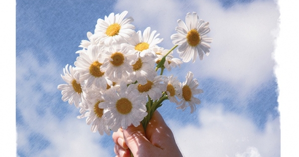 Giữ Chặt Thương Tổn, Em Sẽ Là Người Tổn Thương