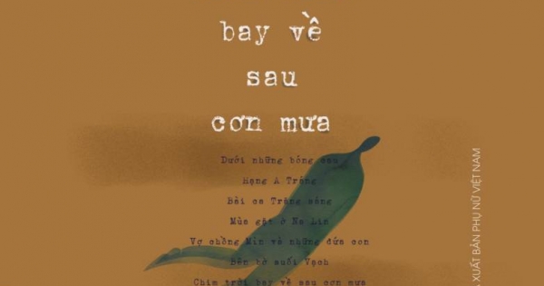 Chim Trời Bay Về Sau Cơn Mưa | Newshop.vn: Sách, Truyện, Tiểu Thuyết