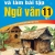 ND - Hướng Dẫn Học Và Làm Bài Tập Ngữ Văn 11 - Tập 1 (Bộ Sách Kết Nối Tri Thức Với Cuộc Sống)