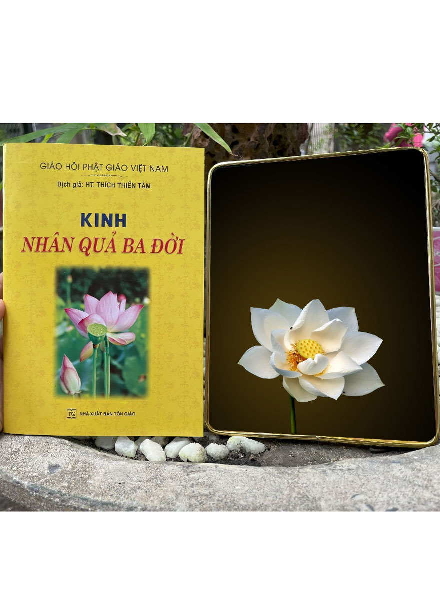 Combo Kinh Nhân Quả Ba Đời + Tranh Để Bàn Hoa Sen