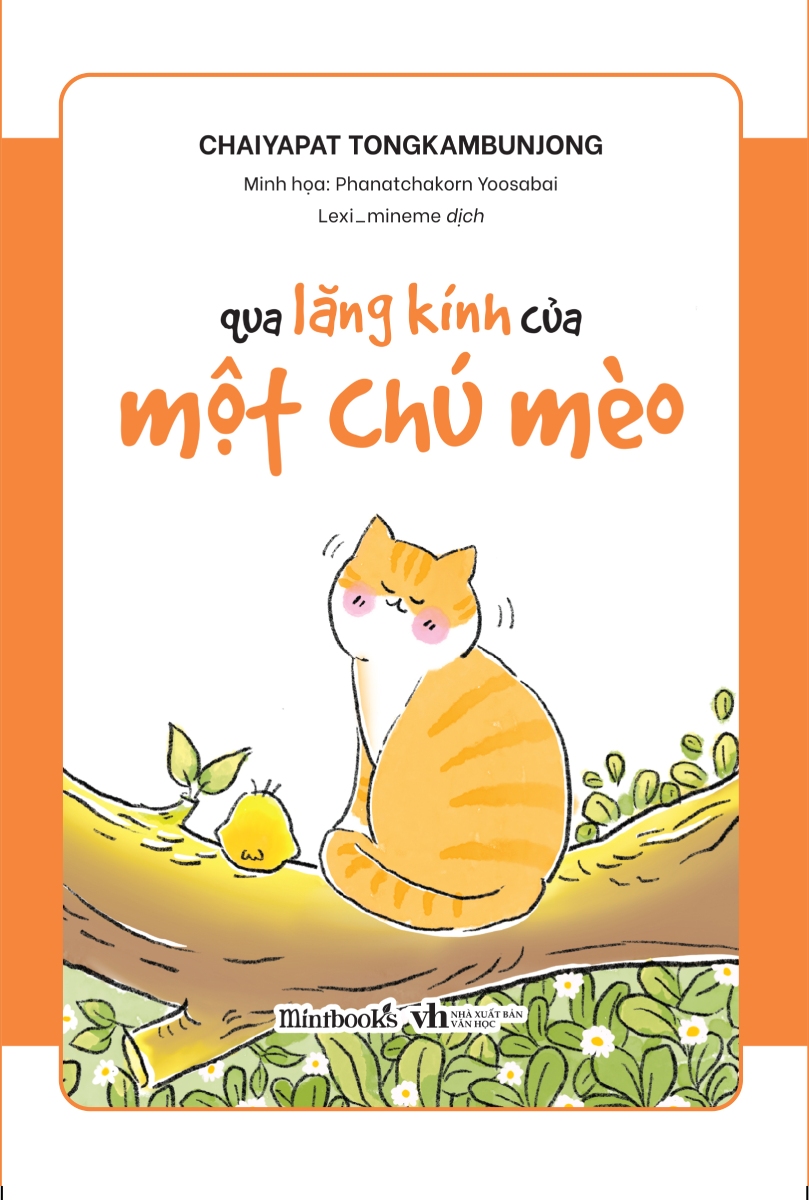 Qua Lăng Kính Của Một Chú Mèo