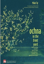 Ochna In The Front Yard - Fascinating Stories About Huế - An Ancient, Poetic And Glamorous Land