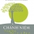 Chánh Niệm Trong Từng Khoảnh Khắc