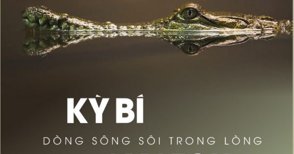 TEDBooks - Kỳ Bí Dòng Sông Sôi Trong Lòng Amazon