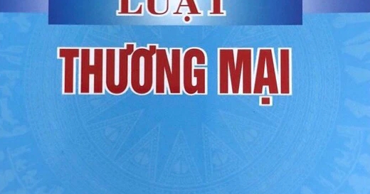Luật Thương Mại (DH) | Newshop.vn