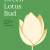 The Green Lotus Bud - Búp Sen Xanh