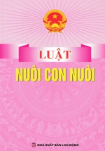 Luật Nuôi Con Nuôi (DH)