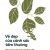 Vẻ Đẹp Của Cảnh Sắc Tầm Thường - Hay Vì Sao Chúng Ta Cần Thay Đổi Cách Thưởng Thức Thiên Nhiên