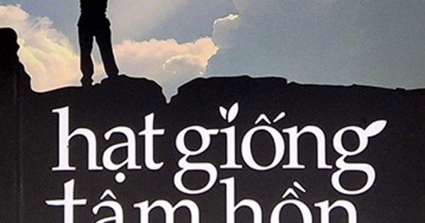 Hạt Giống Tâm Hồn Tập 16 - Tìm Lại Bình Yên