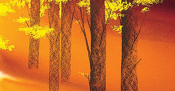 Mùa Này Sao Cứ Dài Nhung Nhớ