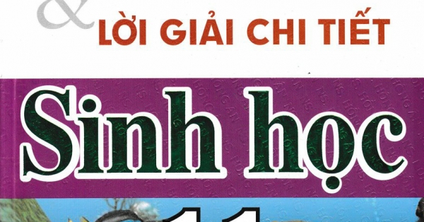 Bài Giảng Và Lời Giải Chi Tiết Sinh Học 11
