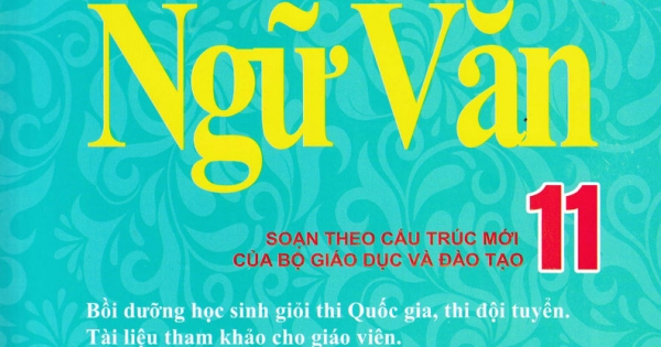 Những Điều Cần Biết Bồi Dưỡng Học Sinh Giỏi Ngữ Văn 11(Bản Mới Nhất)