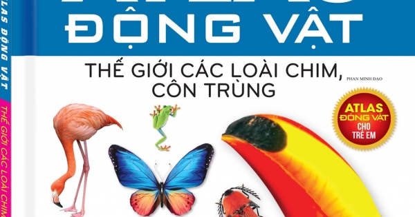 Atlas Động Vật - Thế Giới Các Loài Chim, Côn Trùng