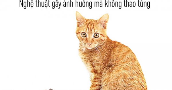 Khiến Người Khác Thay Đổi Suy Nghĩ: Nghệ Thuật Gây Ảnh Hưởng Mà Không Thao Túng