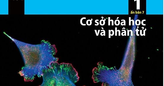 Sinh Học Phân Tử Của Tế Bào - Tập 1: Cơ Sở Hóa Học Và Phân Tử (Ấn Bản 7)