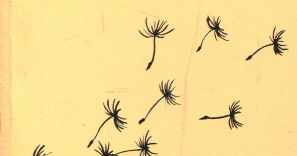 Buông Xả Phiền Não